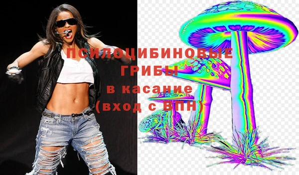 прущие грибы Михайлов