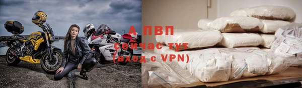 прущие грибы Михайлов