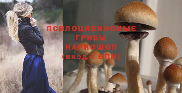 первитин Михайловск
