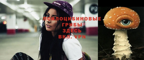 гашик Михайловка
