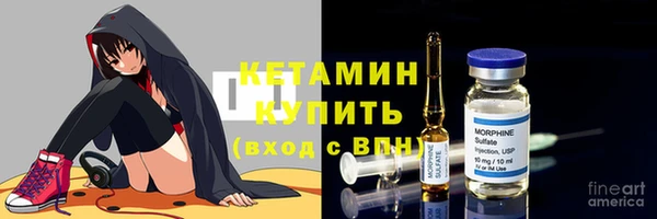 прущие грибы Михайлов