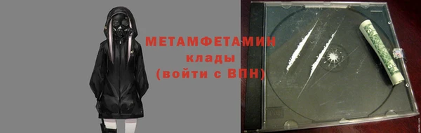 прущие грибы Михайлов