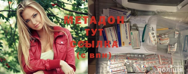 прущие грибы Михайлов
