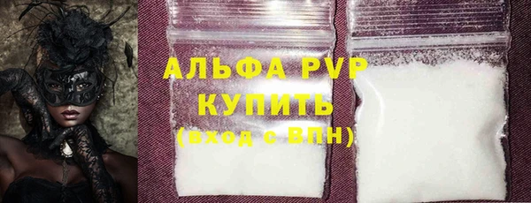 прущие грибы Михайлов
