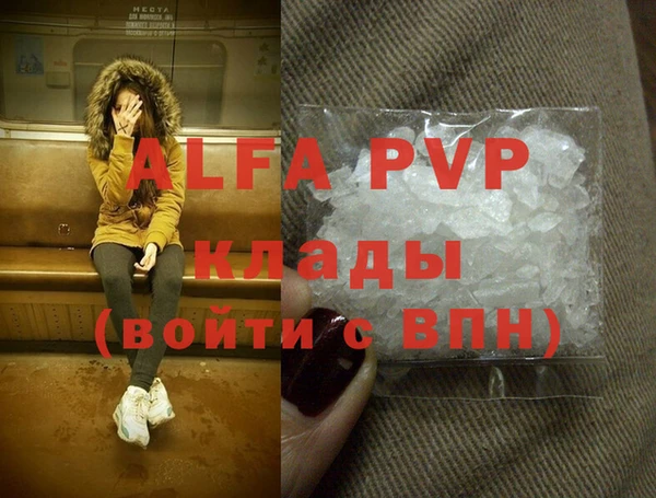 прущие грибы Михайлов