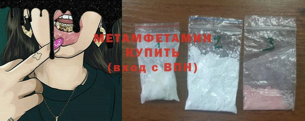 прущие грибы Михайлов