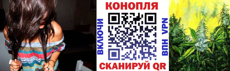 Каннабис гибрид  Приморск 